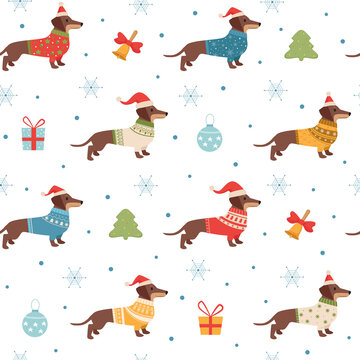 dachshund pattern. christmas seasonal template with long dog in winter knitted sweaters clothes for pets. Vector seamless background