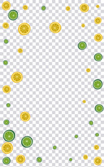 Grass Fruit Background Transparent Vector. Funny Set. Yellow Lemon Freshness. Half Lime Green Illustration.