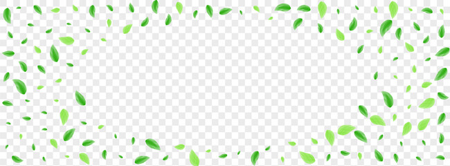 Light Green Plant Background Transparent Vector. Vegetation Vitality Texture. Beauty Illustration. Greenish Structure Design. Sheet Garden. - obrazy, fototapety, plakaty