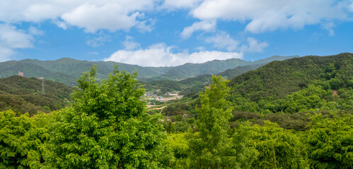 Obraz premium 오월의 신록이 아름다운 산촌의 풍경