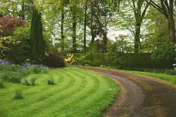 beautiful green landscape in spring