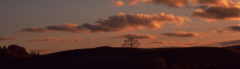 Panorama of a tree on a hill at sunset