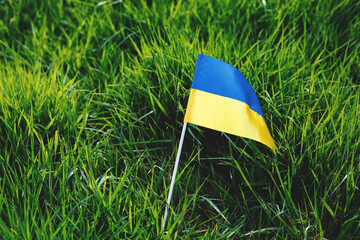 Ukrainian flag on a background of grass