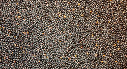Raw dark whole black lentils beluga, texture. lentils pattern background. Food ingredient background. Top view, healthy lifestyle concept.