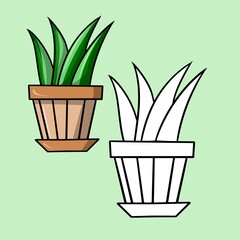 A set of color and sketch image. Green plant sansevieria, aloe in a ceramic pot, indoor plants, cartoon vector