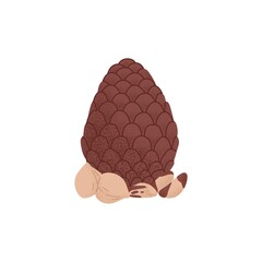 Pine nuts and cedar cone composition. Pinecone with pinons, pinoli fruits, dry pignoli kernels. Healthy crunchy food, vegan snack. Flat vector illustration isolated on white background