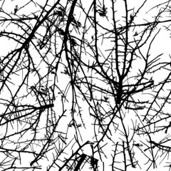 Seamless pattern of tree branches. Vector illustration