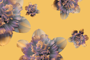 Purple flowers on orange background, floral wallpaper. - Powered by Adobe