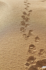 footprint in the sand