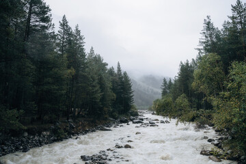 The landscape of the river with a view of the forest and mountains in the fog. Cloudy weather.