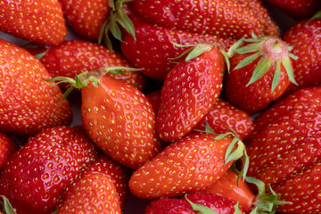 fraises gariguettes rouges en gros plan