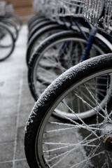 Fototapeta na wymiar Roues de vélo sous la neige