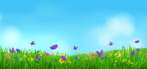 Butterflies, flowers and grass on summer meadow. Vector cartoon illustration of spring landscape of floral lawn with flying insects with purple wings. Green field with blossoms, plants and butterflies