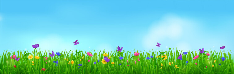 Fototapeta na wymiar Summer meadow with butterflies, flowers and grass. Vector cartoon border of green lawn with flying insects with purple wings, plants and blossoms. Spring landscape with floral field and blue sky