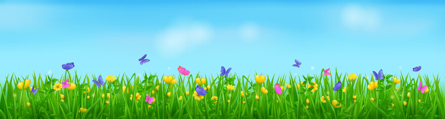 Fototapeta na wymiar Spring meadow with flowers, butterflies and green grass. Vector cartoon border of floral lawn with flying blue and pink insects, plants and yellow blossoms. Spring landscape of field and blue sky