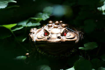 Metal toad feng shui close-up. A symbol of financial well-being.