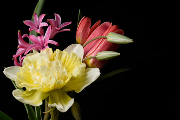 Spring flowers on a black background, bouquet, red and yellow petals.