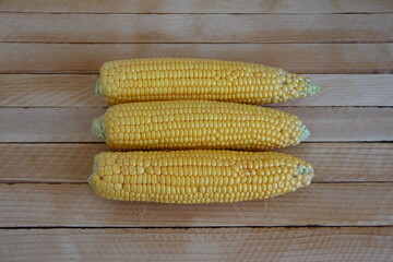 Cobs of fresh young corn on wooden background