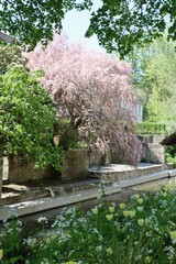 japanese garden in spring in Chartres 