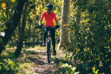 Mountain biking in spring forest