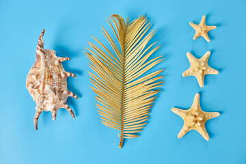 Flat lay summer composition, Tropical palm leaves, seashells on pastel blue background, Summer vacation concept, top view, copy space