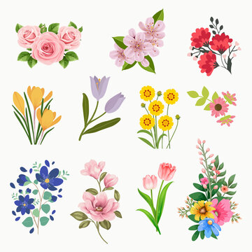 Set of watercolor flower vector illustration for greeting card or invitation design