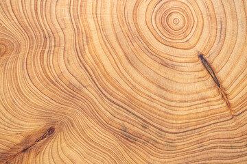 wood cut texture