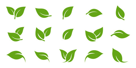 Fototapeta Green leaf icons set. Leaves icon on isolated background. Collection green leaf. Elements design for natural, eco, vegan, bio labels. Vector illustration EPS 10 obraz