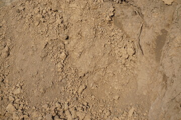 Trockene braune Erdfläche mit Muster 