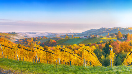 Fototapeta na wymiar Astonishing vineyards landscape in South Styria near Gamlitz.
