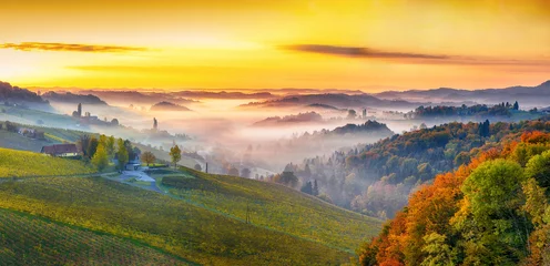Fotobehang Oranje Stunning vineyards landscape in South Styria near Gamlitz.  © pilat666