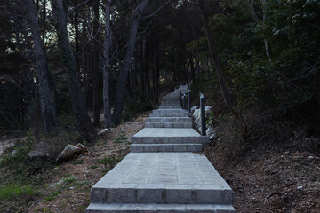 steps up the mountain in the park around the green trees