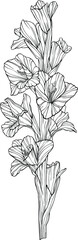 Flower isolated on white, hand drawn sketch, vector flower illustration. Eps 10