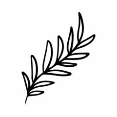 Black and white graphic branch. Line illustration isolated on white background.