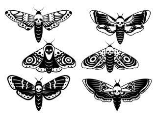 Set of stylized moth with skull. Collection of death's head hawk moth. Mystical tropical insects. Butterfly with gothic symbol. Tattoo. Vector illustration of flying scary insects.  - obrazy, fototapety, plakaty