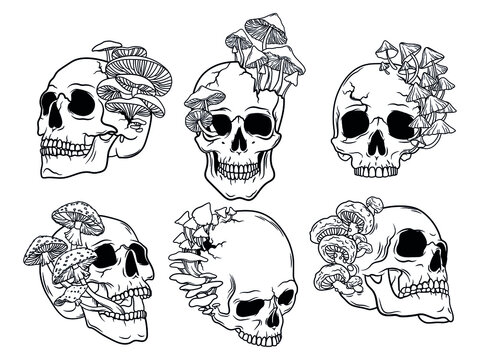 Set of skulls with mushrooms. Collection of human mushroom  skull. Witchy. Psychedelic plants. Vector illustration isolated on white background.