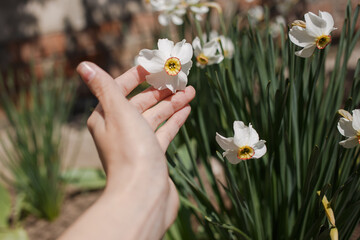 A girl touching flowers with her hands