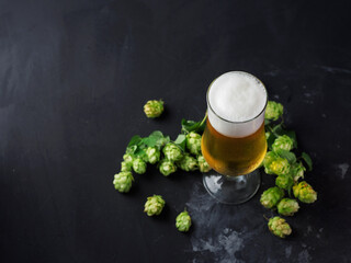 glass of light beer and green cones of hops on a black table. Top view, copy space
