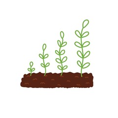 Growing plant in the soil phases concept. Gardening print showing stages like sprout, plant and tree. Biology cycle flat vector illustration