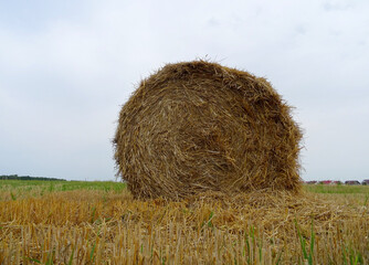 Round Stack Of Pressed Hay On A Field