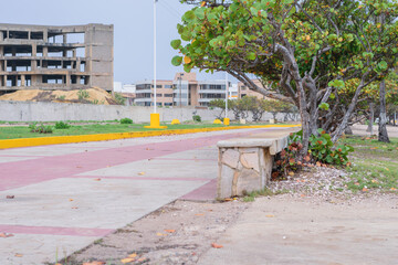 Photos of a beach on a cloudy day from different angles and places, the tone and white balance  of the photos is cold, in the photos you can see vegetation, trees, shrubs, grass, sand, sky, beach, sea