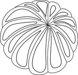 Tangerine Illustration