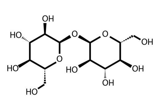 Trehalose (Mycose And Tremalose) Sugar Molecule. Skeletal Formula. Vector Illustration.