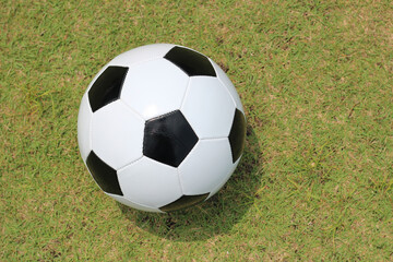 Fototapeta premium Soccer football on green field