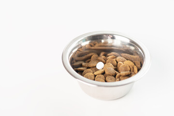 pill for pets, dog medicine in a bowl of food mixed to be eaten by animals, antibiotic for puppies