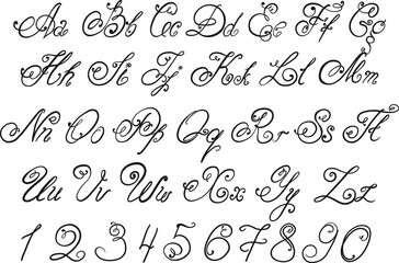 Fototapeta na wymiar Vector hand drawn calligraphic Alphabet. Hand drawn letters.