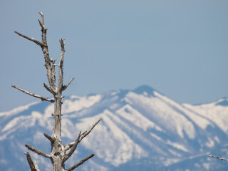Todowara, a tourist destination in eastern Hokkaido
