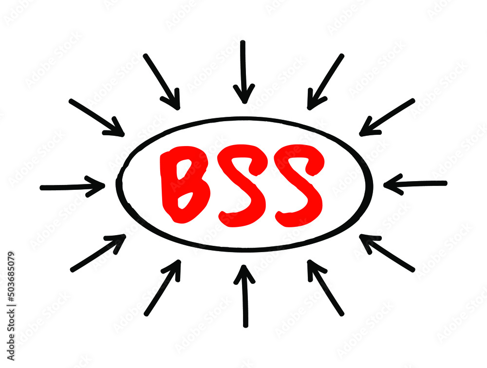 Poster bss business support system - components that a telecommunications service provider uses to run its 