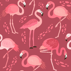 pink flamingos in different poses. seamless pattern. vector image.  background with exotic birds, tropical plants, flowers and leaves
