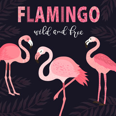 pink flamingos in different poses. background with exotic birds, tropical plants, flowers and leaves. poster/ vector image